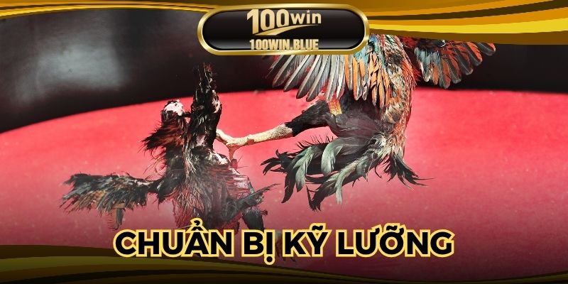 Chuẩn bị kỹ lưỡng và chọn cược thông minh