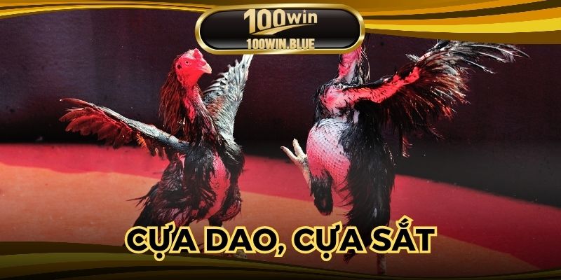 Cựa dao, cựa sắt tại Đá Gà 100WIN kịch tính