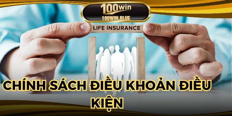 Các chính sách trong điều khoản và điều kiện 100WIN